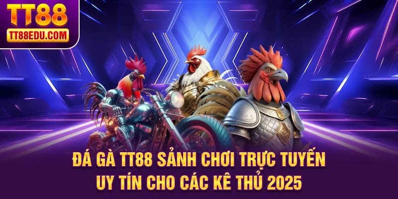 Đá gà TT88 sảnh chơi trực tuyến uy tín cho các kê thủ