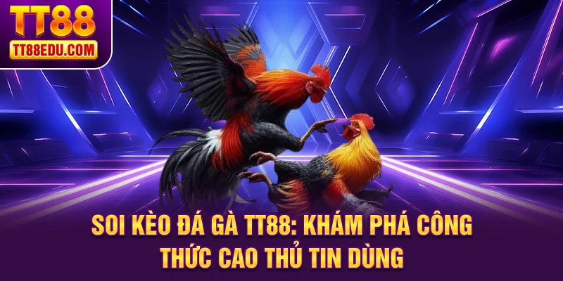 Soi kèo đá gà TT88
